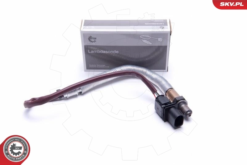 Oxygen Sensor